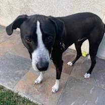 Thumbnail photo of Billy/Kullen #4