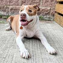 Thumbnail photo of NELLIE! #4