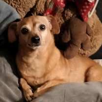 Thumbnail photo of Ernie #1