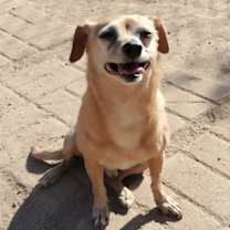 Thumbnail photo of Ernie #2