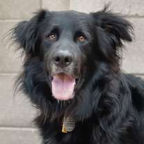 Thumbnail photo of BEAR #2