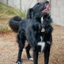 Thumbnail photo of BEAR #3