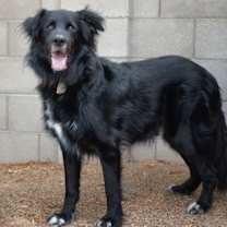 Thumbnail photo of BEAR #4