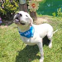 Thumbnail photo of Jovi #2