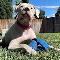 Thumbnail photo of Ariel #1