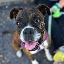 Thumbnail photo of Delia #1