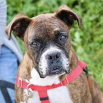 Thumbnail photo of Delia #2