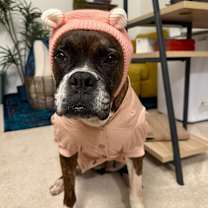 Thumbnail photo of Delia #3