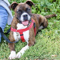 Thumbnail photo of Delia #4