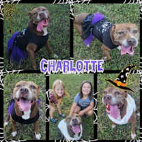 Thumbnail photo of Charlotte #2