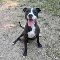 Thumbnail photo of Andrew #1