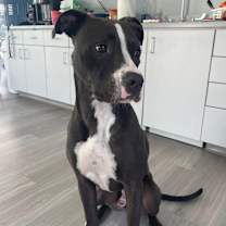 Thumbnail photo of Andrew #2