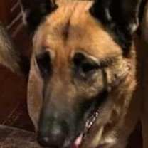 Thumbnail photo of Mabel #2