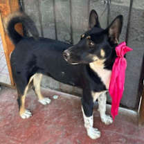 Thumbnail photo of Peter #2