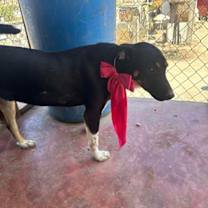 Thumbnail photo of Peter #3