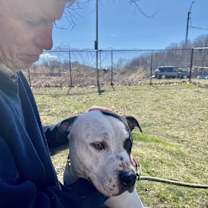 Thumbnail photo of Petey #4