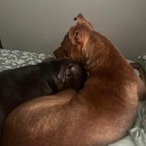 Thumbnail photo of Bugg #2