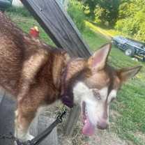 Thumbnail photo of Luna #2