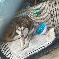 Thumbnail photo of Luna #3