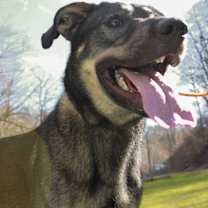 Thumbnail photo of Axton #4