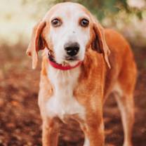 Thumbnail photo of 89741a Maya #1