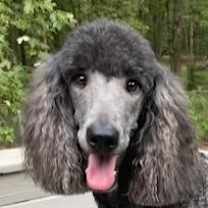 Thumbnail photo of Gigi #1