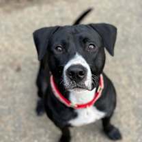 Thumbnail photo of Sophia #1