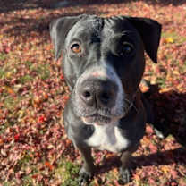 Thumbnail photo of Sophia #2