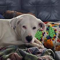 Thumbnail photo of Yuki #2