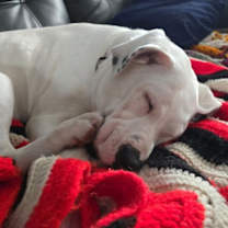 Thumbnail photo of Yuki #3