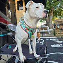 Thumbnail photo of Yuki #4