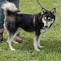 Thumbnail photo of Cuba #3