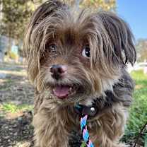 Thumbnail photo of Twinky #2