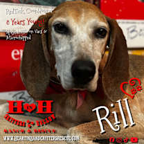 Thumbnail photo of Rill #1