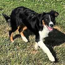 Thumbnail photo of Lacey #2