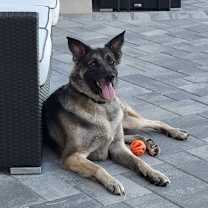 Thumbnail photo of Helga #3