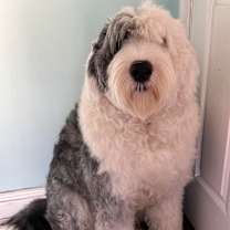 Thumbnail photo of Nobu #1