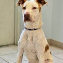 Thumbnail photo of Romper/ Casper #2