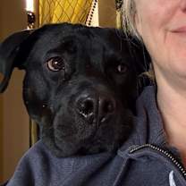 Thumbnail photo of Gio (CP) #2