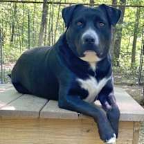 Thumbnail photo of HUNTER #3