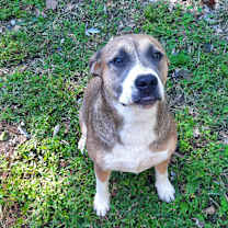 Thumbnail photo of Meeka #1