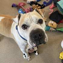 Thumbnail photo of Hank #2