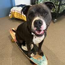 Thumbnail photo of Neo #1