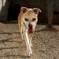 Thumbnail photo of Arya #2