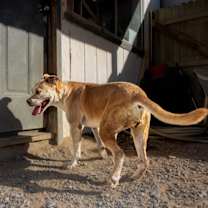 Thumbnail photo of Arya #3