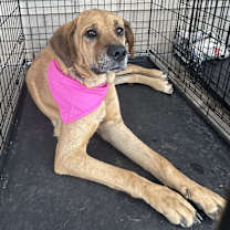 Thumbnail photo of Zenzi #1