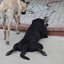 Thumbnail photo of William #2