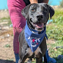 Thumbnail photo of Pancho #2