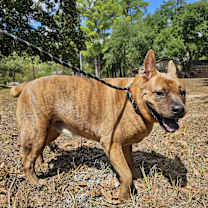 Thumbnail photo of FRANKO #3