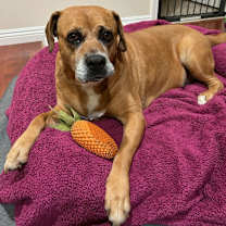 Thumbnail photo of Arya #3